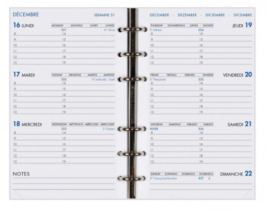 AGENDA DE POCHE HEBDOPLAN À ANNEAUX - INT 2021 - 9x16cm