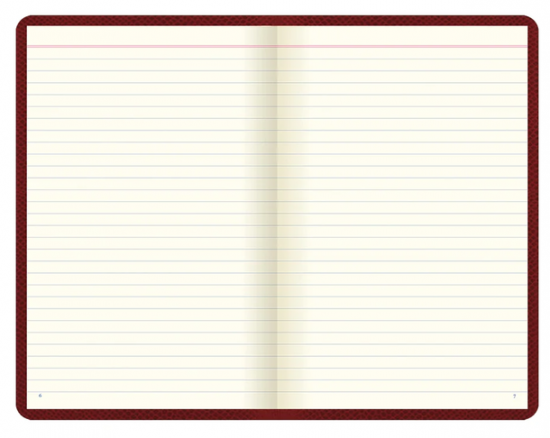 CARNET DE NOTES LIGNE - LETTS