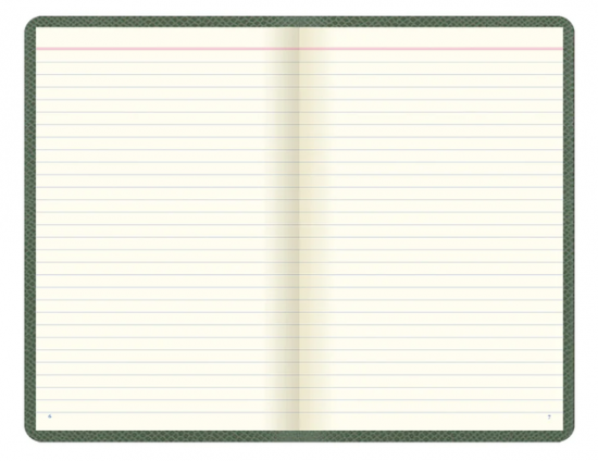 CARNET DE NOTES LIGNE - LETTS