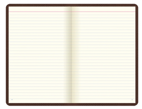 CARNET DE NOTES LIGNE - LETTS