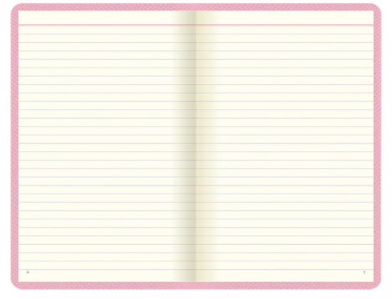 CARNET DE NOTES LIGNE - LETTS