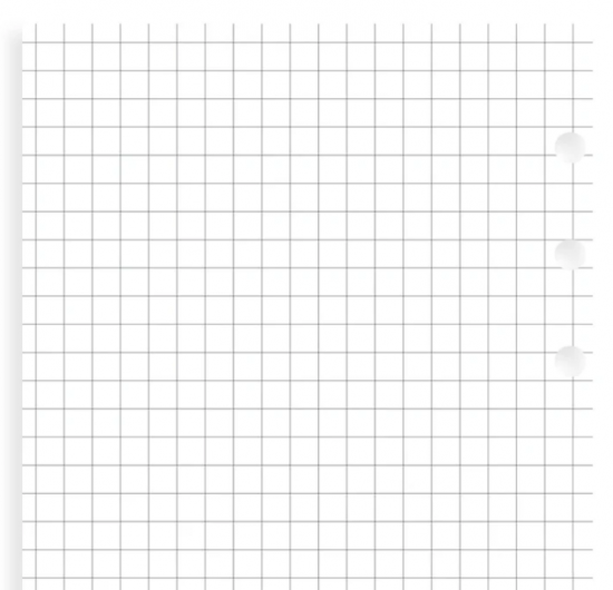 FEUILLES QUADRILLEES - PERSONAL 17cm