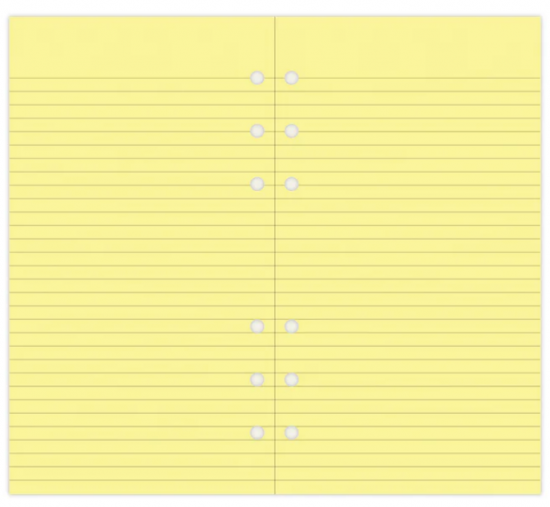 FEUILLES LIGNÉES JAUNES - PERSONAL 17cm