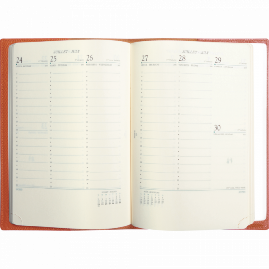 BORNÉO AGENDA DE BUREAU A22