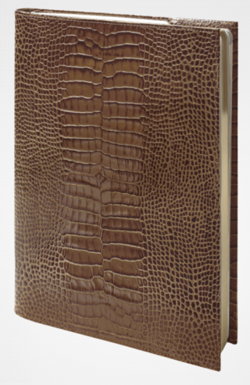 SAVANNAH AGENDA DE BUREAU A27