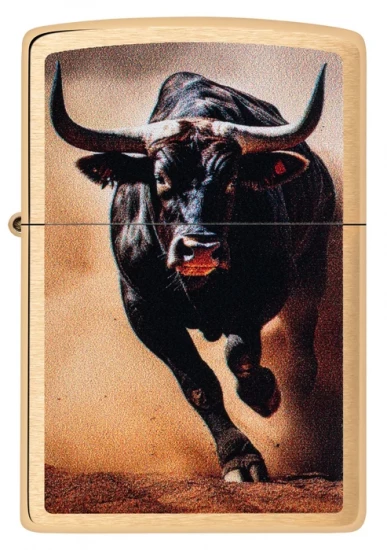 BRIQUETS ZIPPO