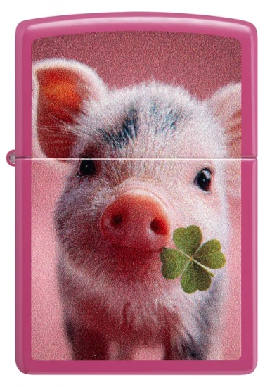 BRIQUETS ZIPPO